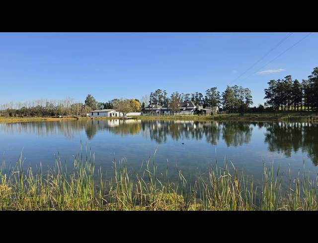 128,480M² FARM FOR SALE IN GREYTON